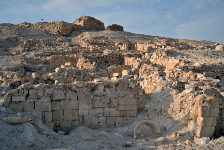 Read more about the article גללי הצאן מספרים את סיפור השקיעה של ערי הנגב הביזנטיות